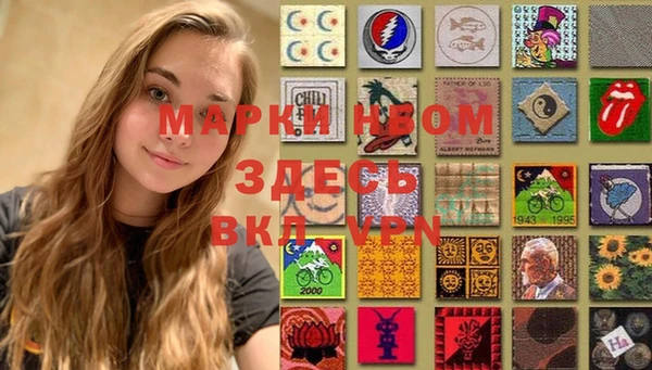 шишки Осинники