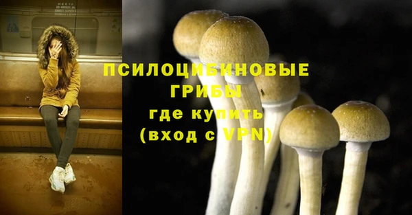 трава Няндома