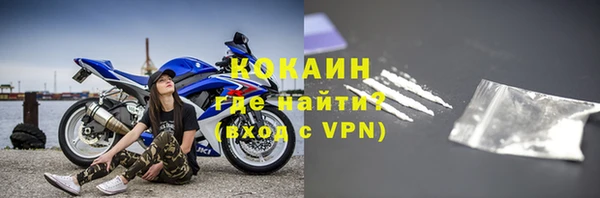 трава Няндома