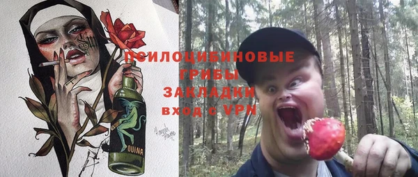 шишки Осинники