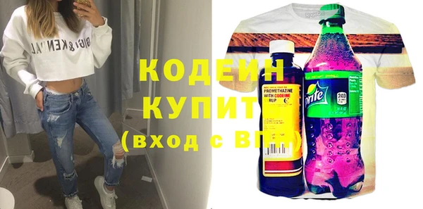 шишки Осинники