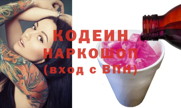 шишки Осинники