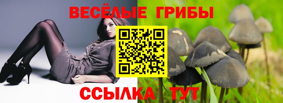 Псилоцибиновые грибы прущие грибы  Вход с VPN  Галлюциногенные грибы Magic Shrooms  Карталы 
