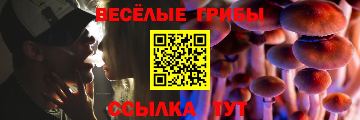 Галлюциногенные грибы Psilocybe Карталы